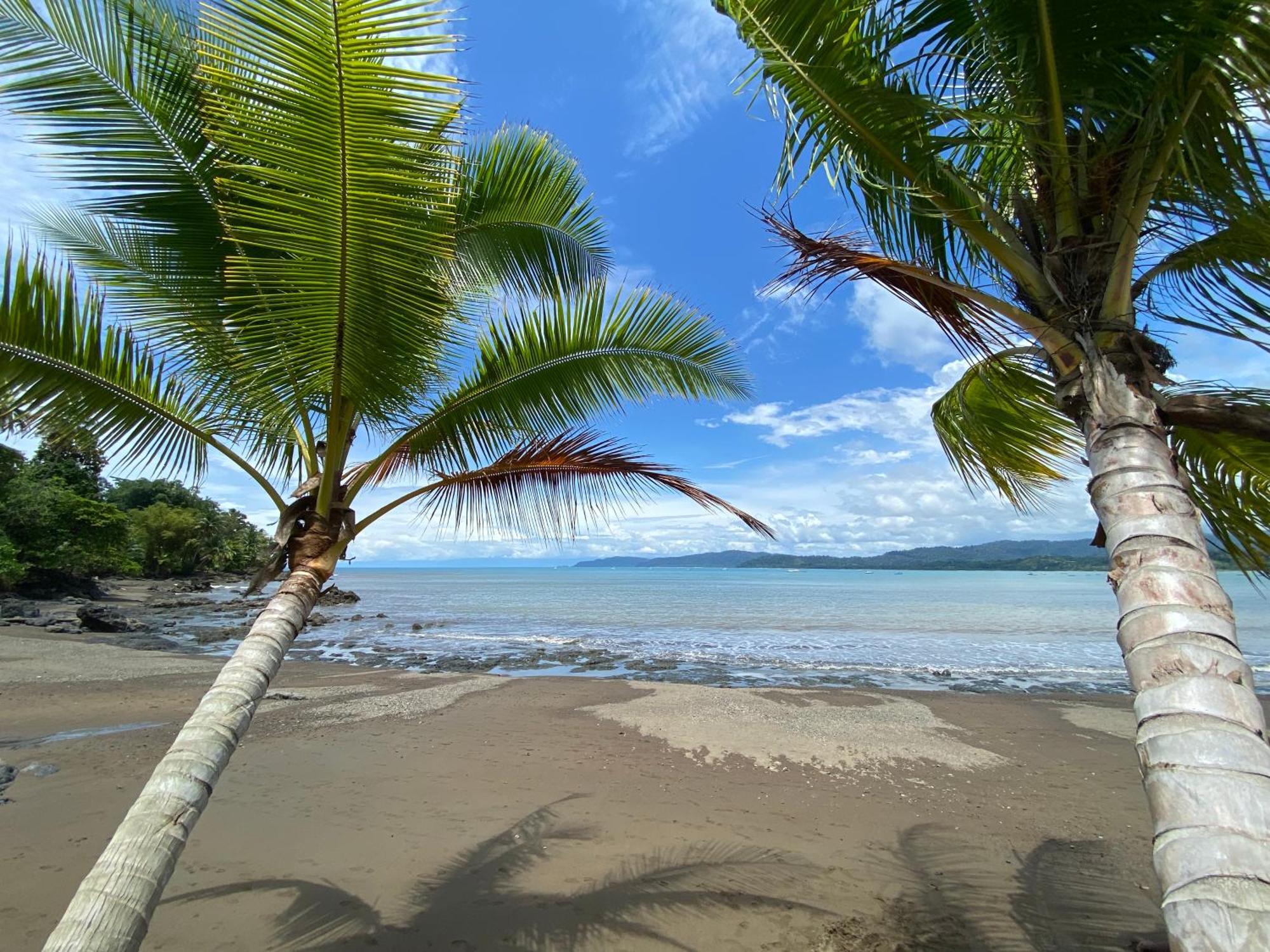 Villa Casita Corcovado Drakes Bay Esterno foto